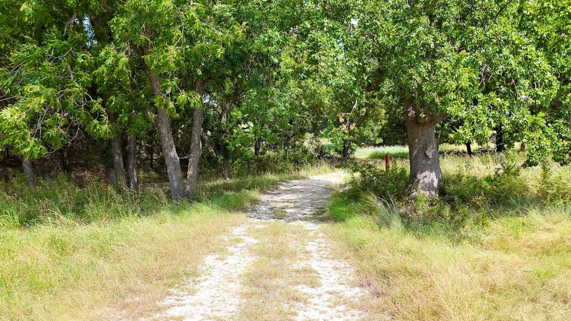 5.61 acres in Bosque County gallery image 2