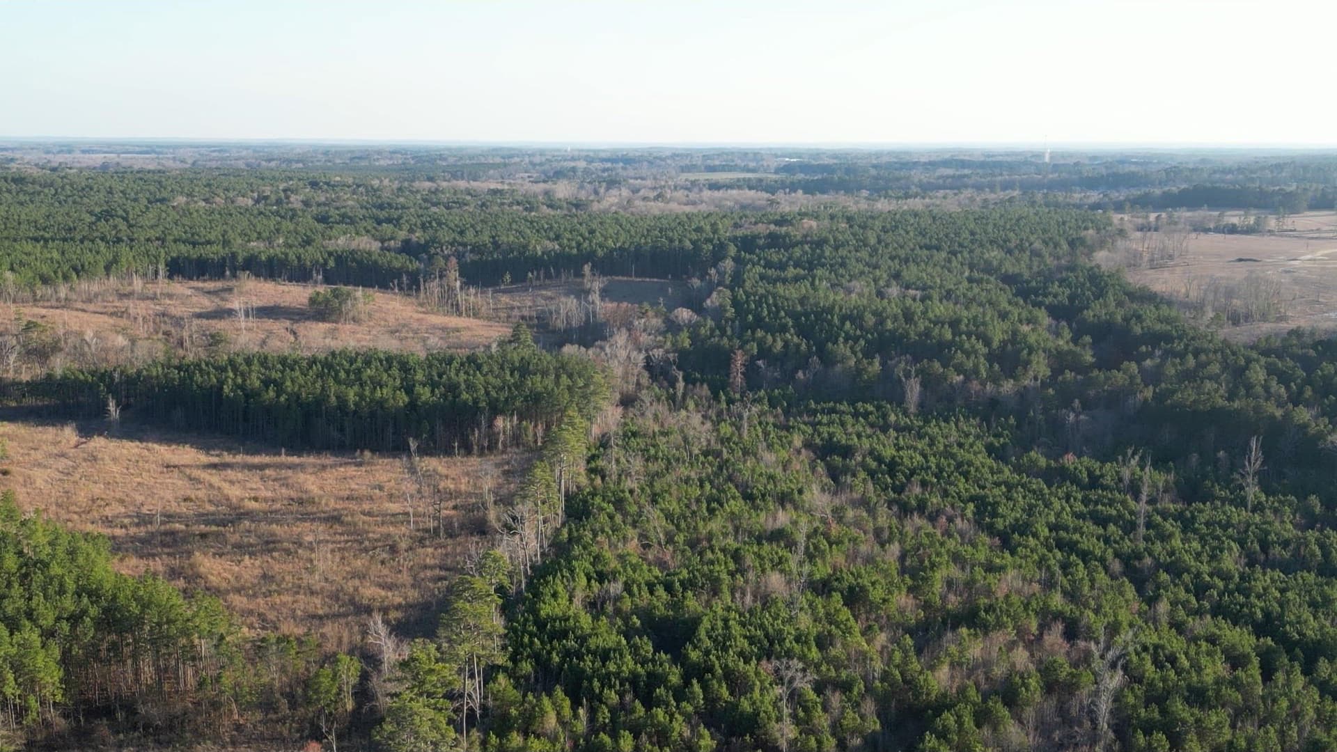 24 acres in Harrison County - photo 8