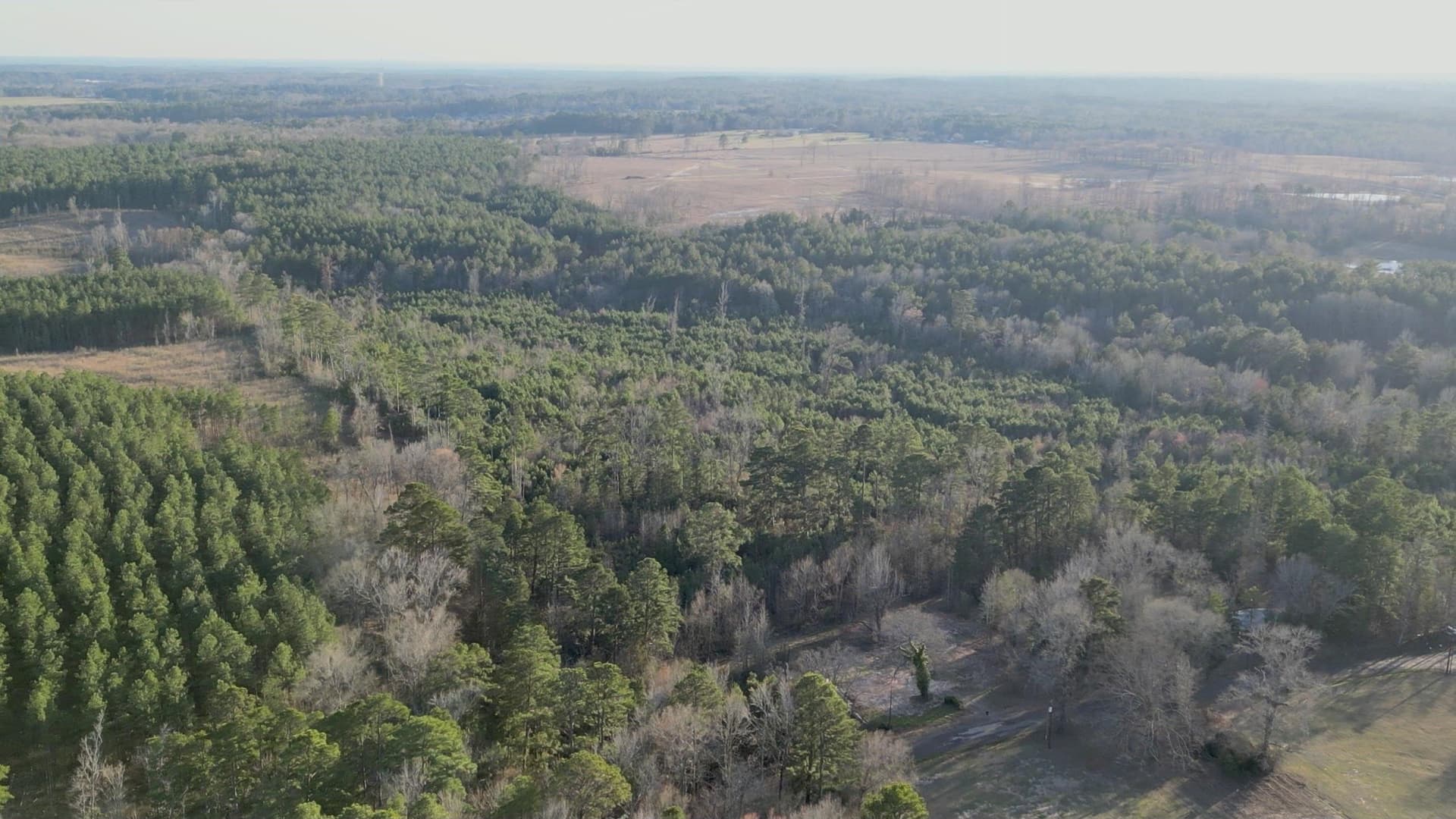 24 acres in Harrison County - photo 6