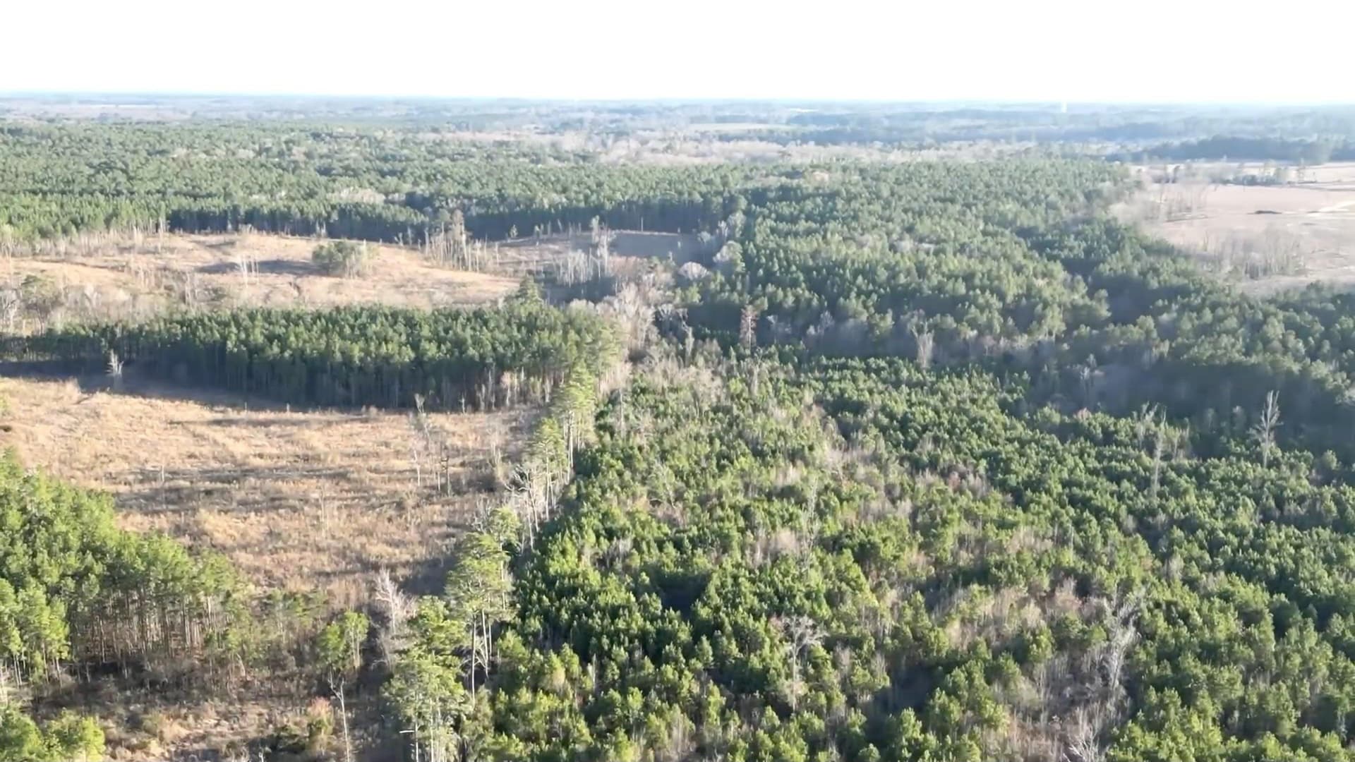 24 acres in Harrison County - photo 12