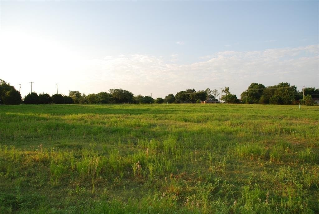 1.59 acres in Rockwall County gallery image 4