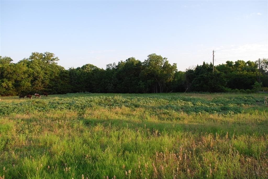 1.59 acres in Rockwall County gallery image 2