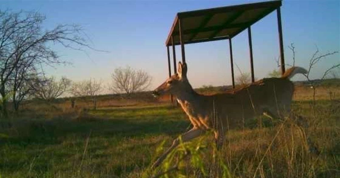 10.01 acres in Comanche County gallery image 4