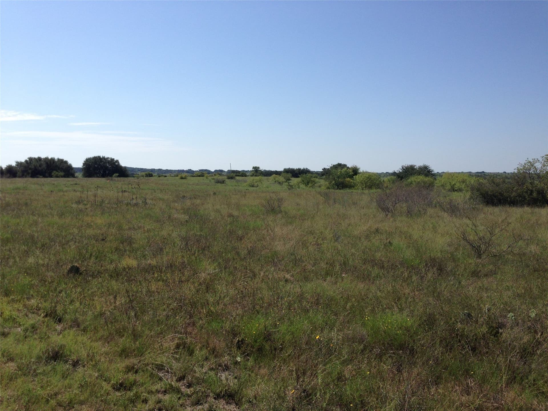 10.01 acres in Comanche County - photo 8