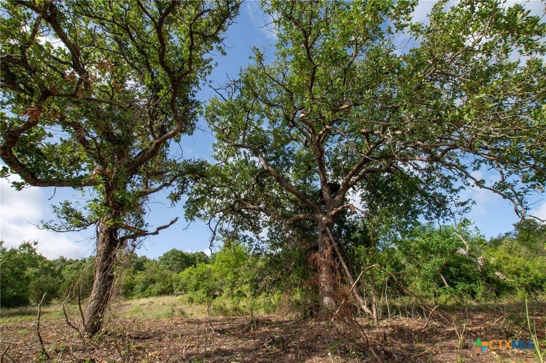 25 acres in Hamilton County - photo 22