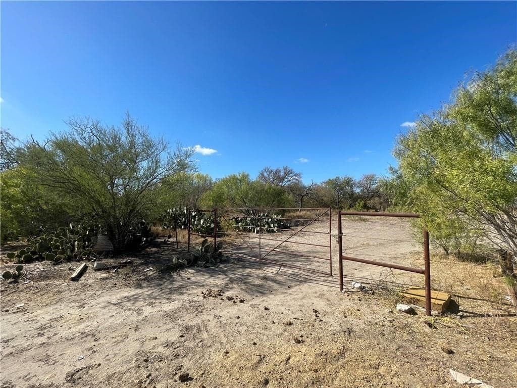 20 acres in Atascosa County - photo 7