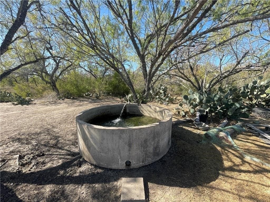 20 acres in Atascosa County - photo 11