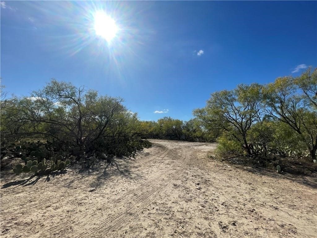 20 acres in Atascosa County - photo 9