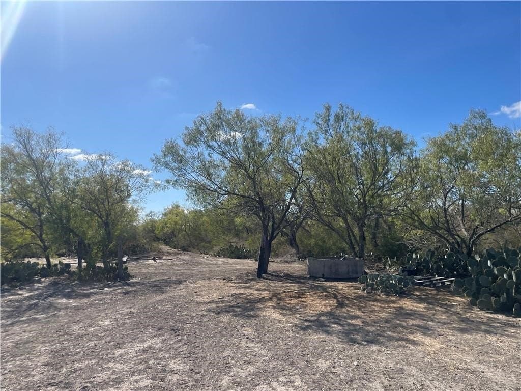 20 acres in Atascosa County - photo 8