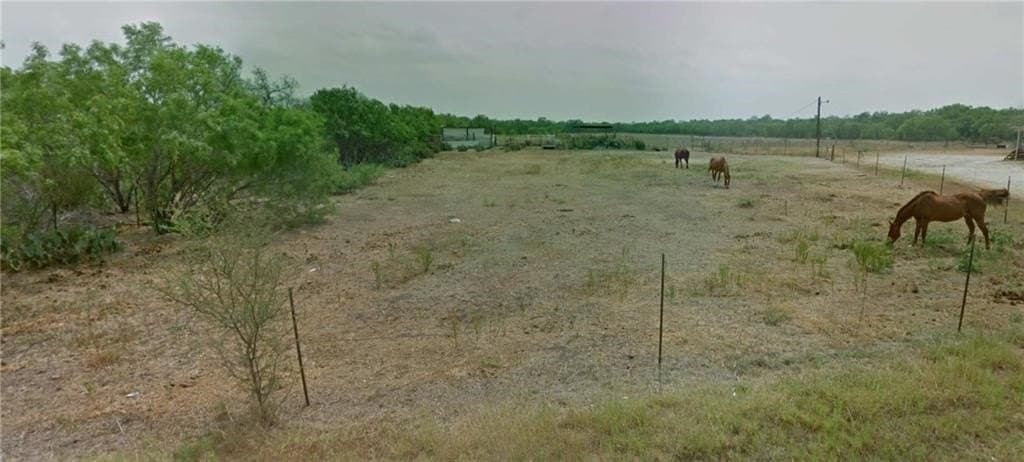 20 acres in Atascosa County - photo 12
