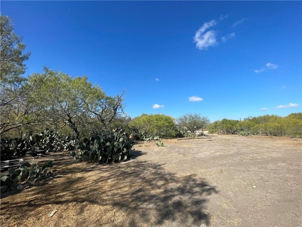 20 acres in Atascosa County - photo 10