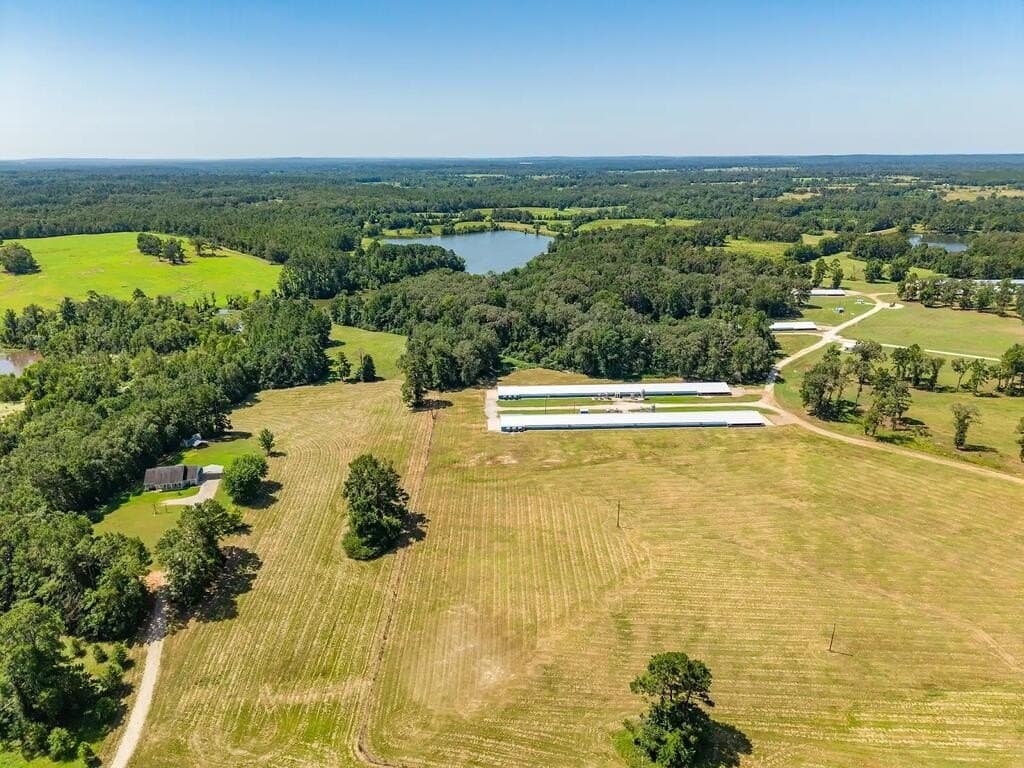 268.36 acres in Texas County - photo 4