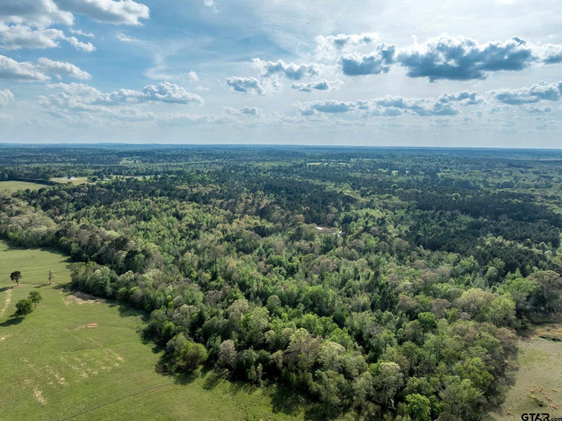 19.78 acres in Upshur County - photo 6