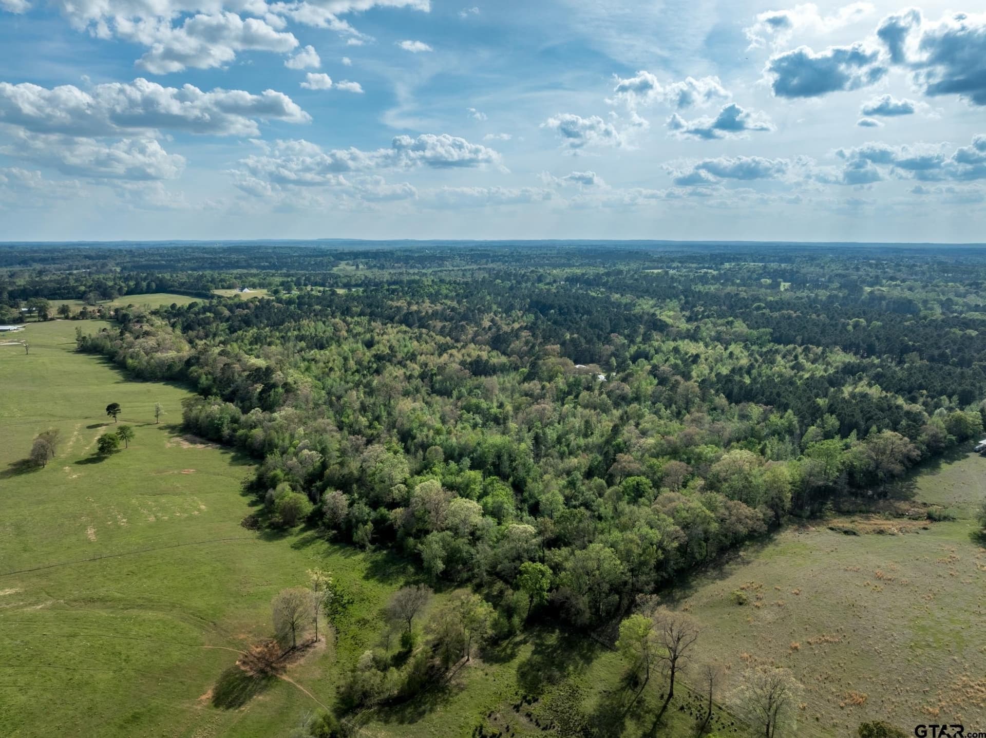 19.78 acres in Upshur County - photo 8