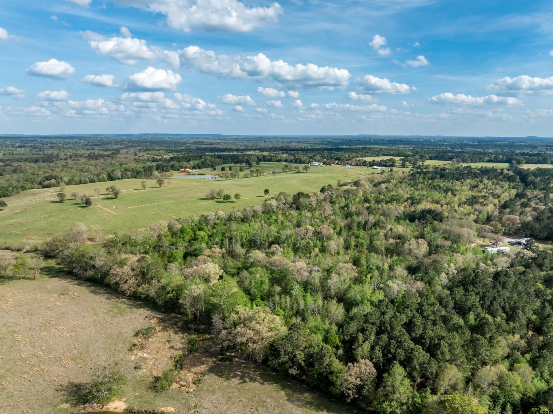 19.78 acres in Upshur County - photo 9