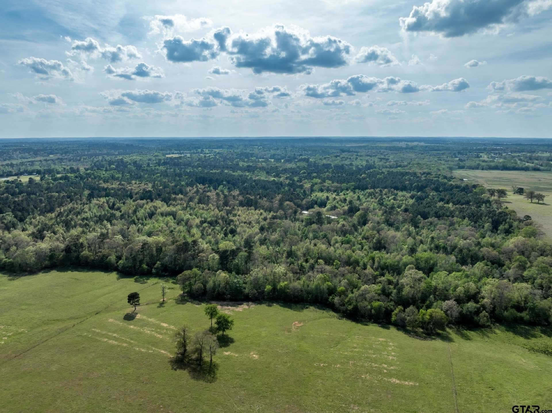 19.78 acres in Upshur County - photo 7