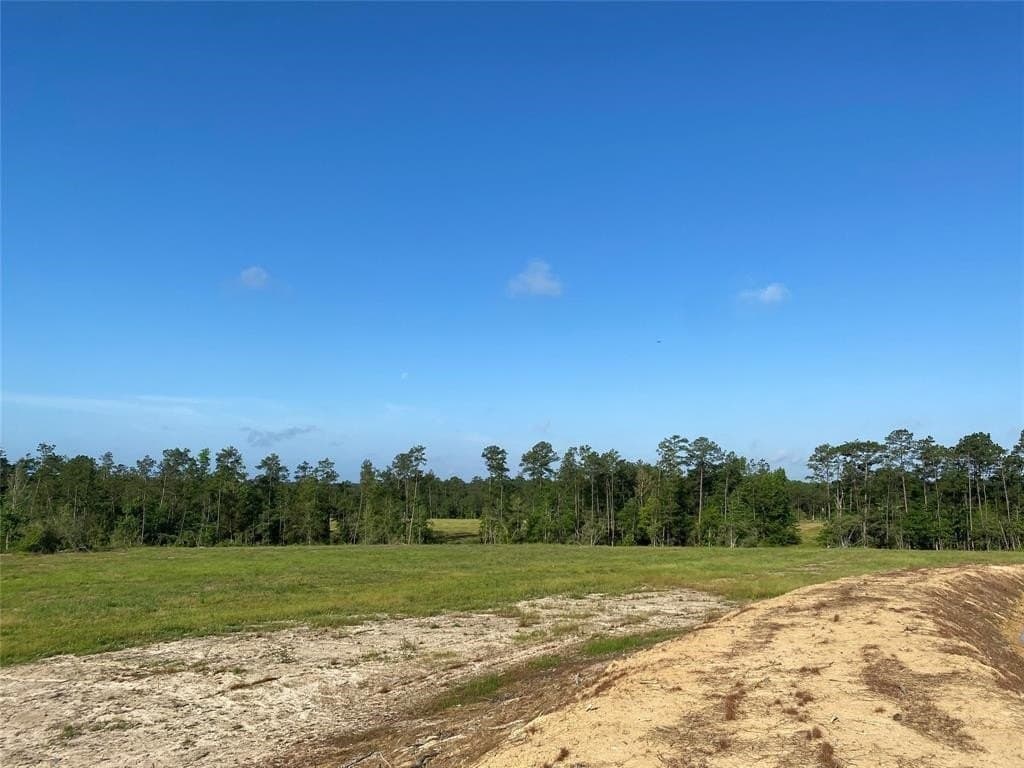 20 acres in Texas County - photo 15