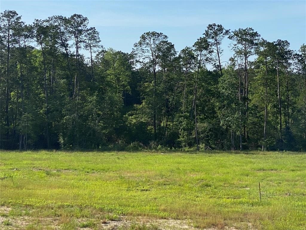 20 acres in Texas County - photo 9