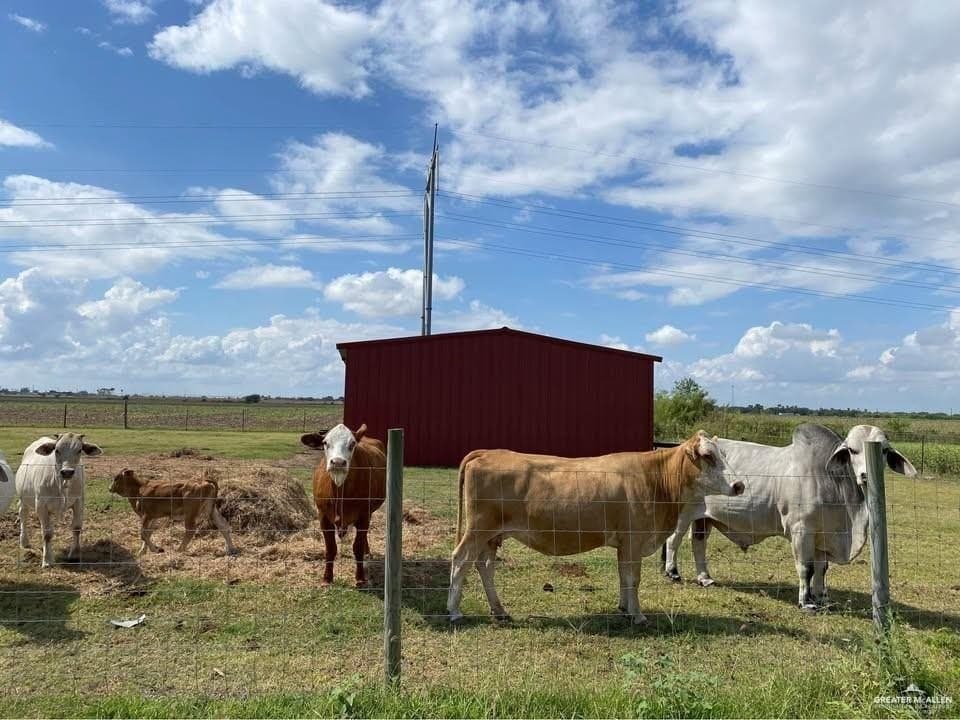 9.78 acres in Hidalgo County - photo 5