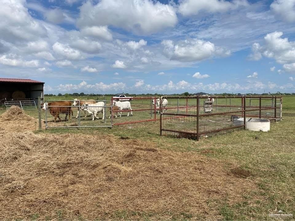 9.78 acres in Hidalgo County - photo 10