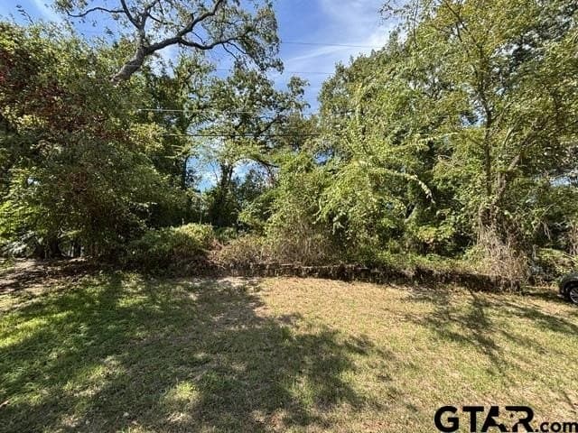 0.26 acres in Smith County - photo 6