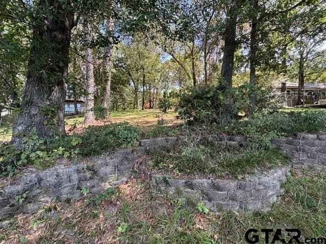 0.26 acres in Smith County - photo 4