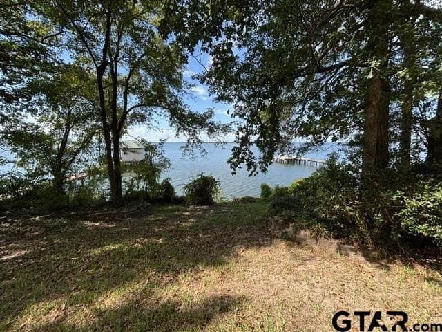 0.26 acres in Smith County - photo 2