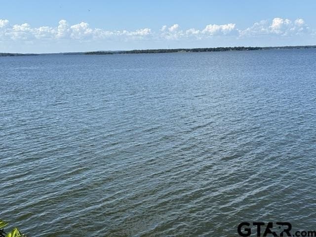 0.26 acres in Smith County - photo 5