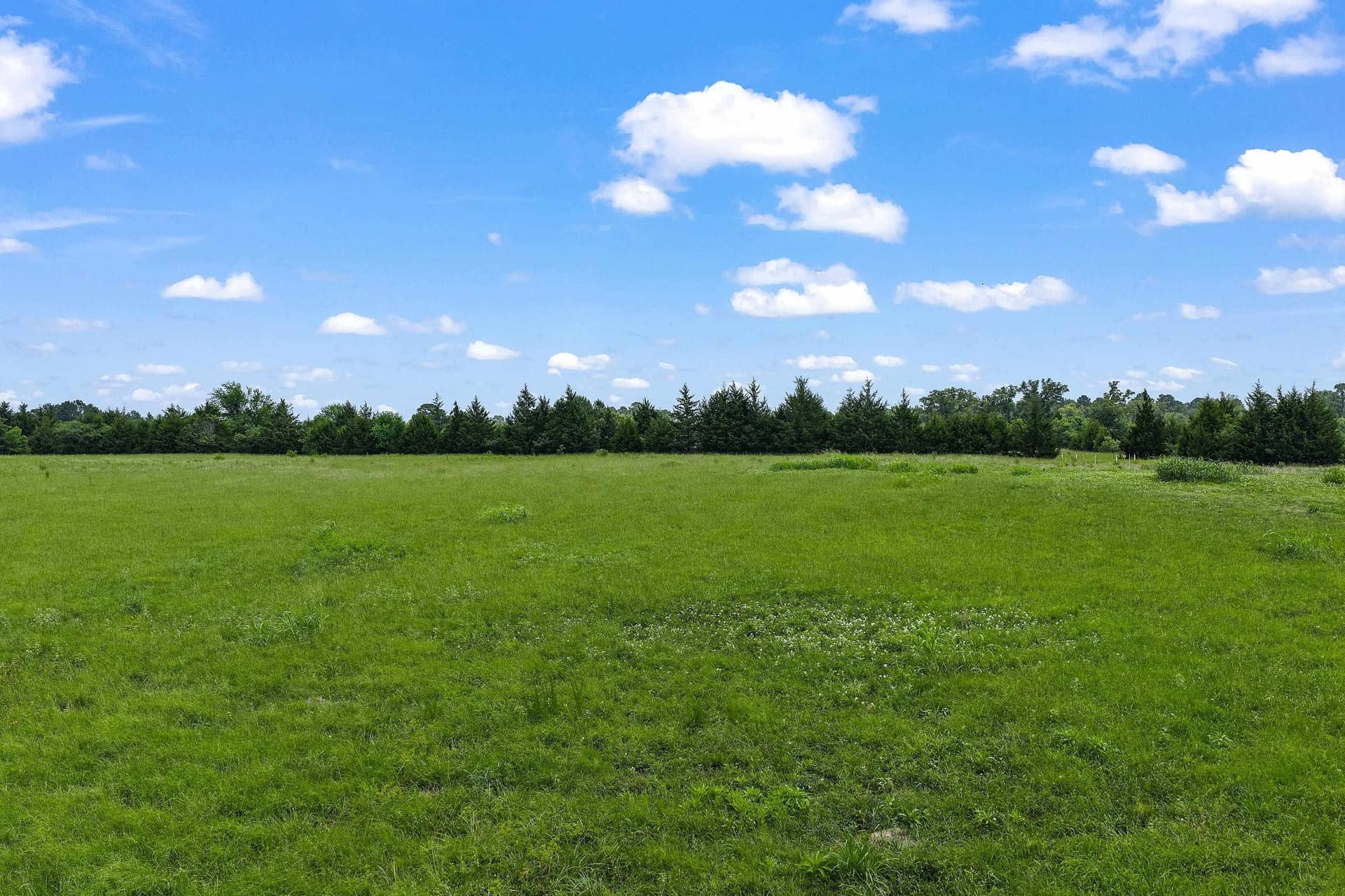 13.02 acres in Panola County gallery image 4