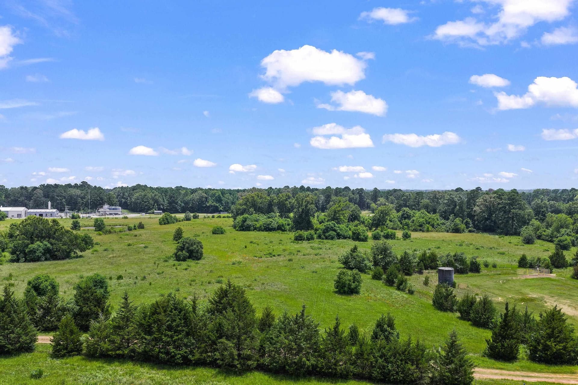 13.02 acres in Panola County gallery image 3