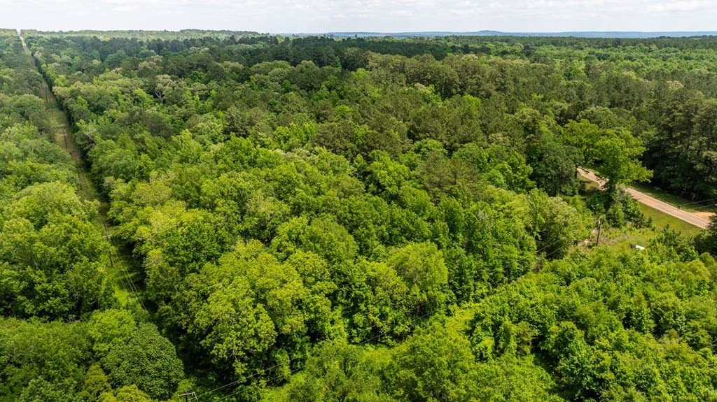 7.9 acres in ANDERSON County - photo 6