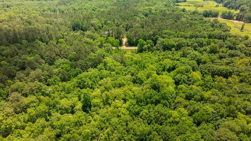 7.9 acres in ANDERSON County - photo 11