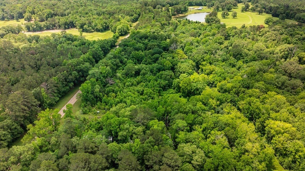 7.9 acres in ANDERSON County - photo 9