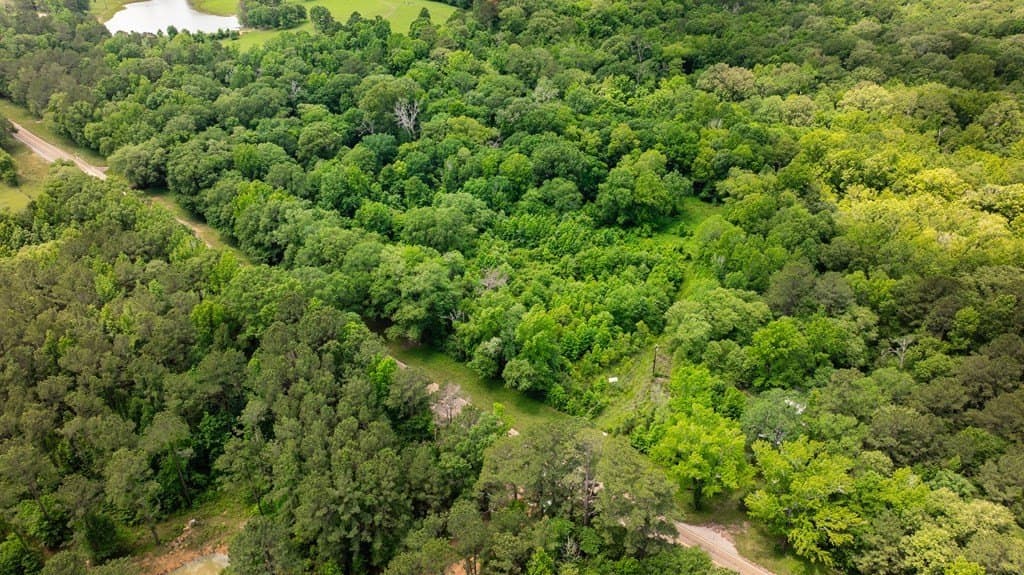 7.9 acres in ANDERSON County - photo 8