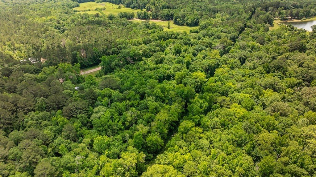 7.9 acres in ANDERSON County - photo 10
