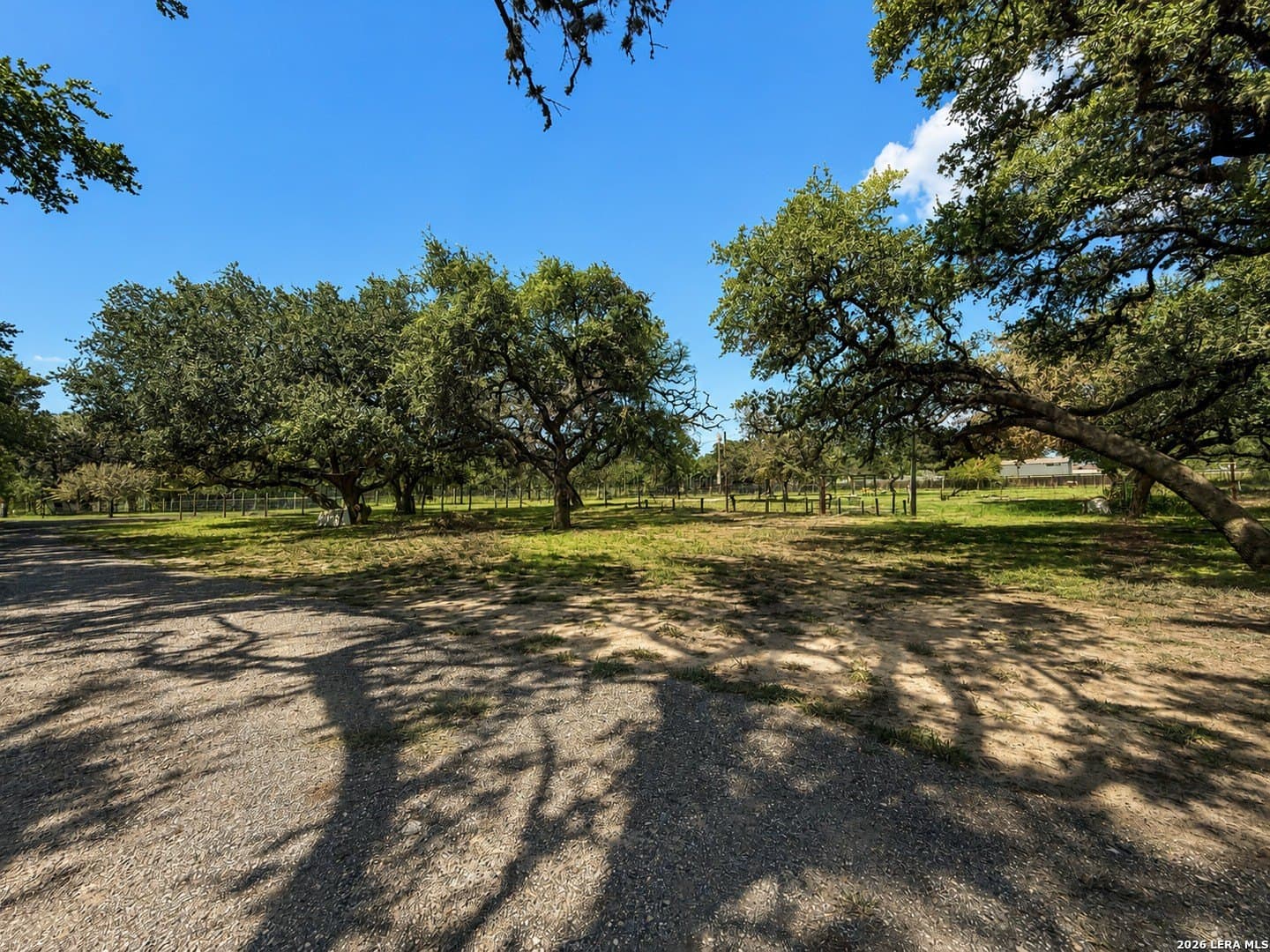 0.47 acres in Atascosa County gallery image 3