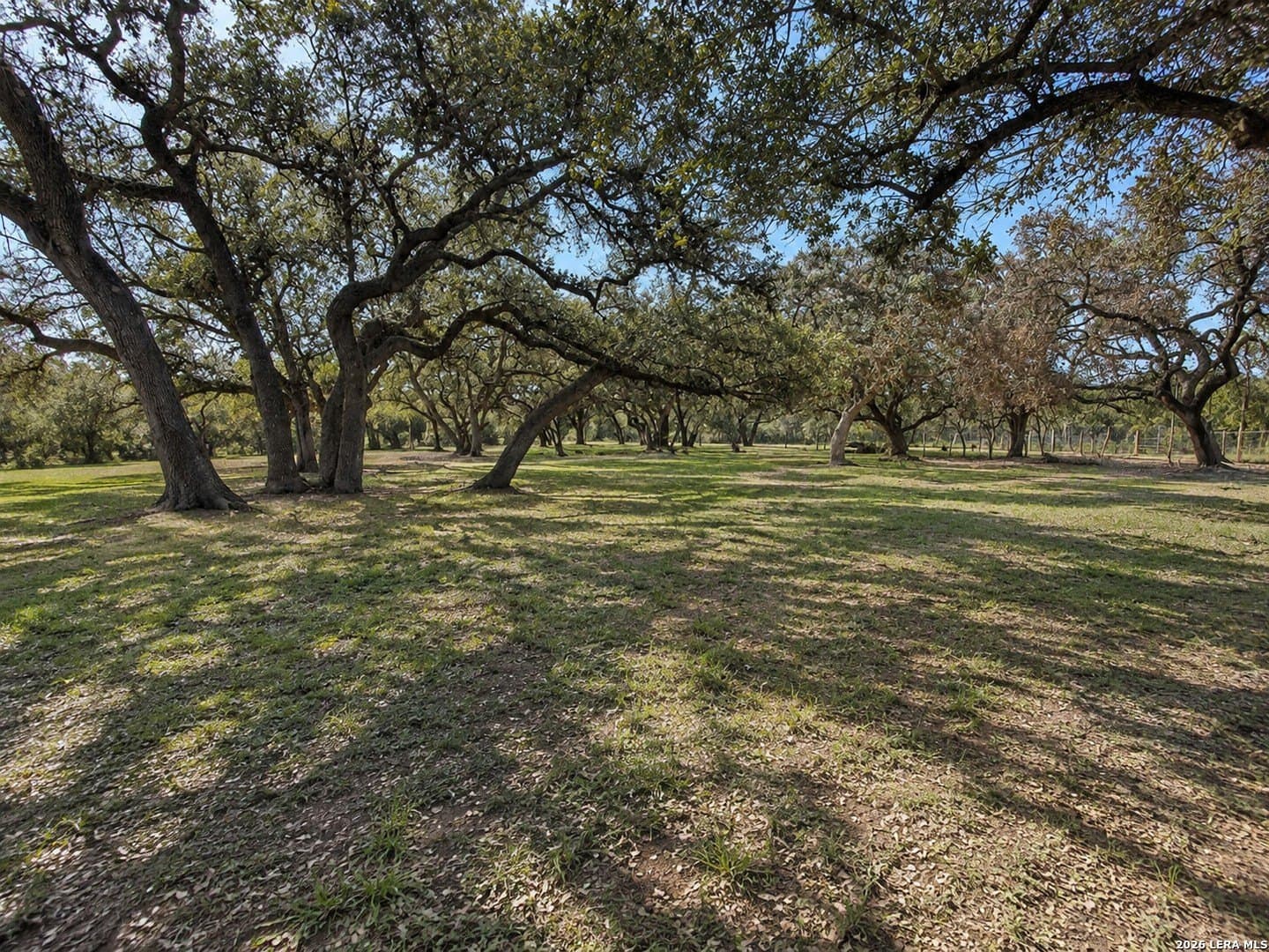 0.47 acres in Atascosa County gallery image 2