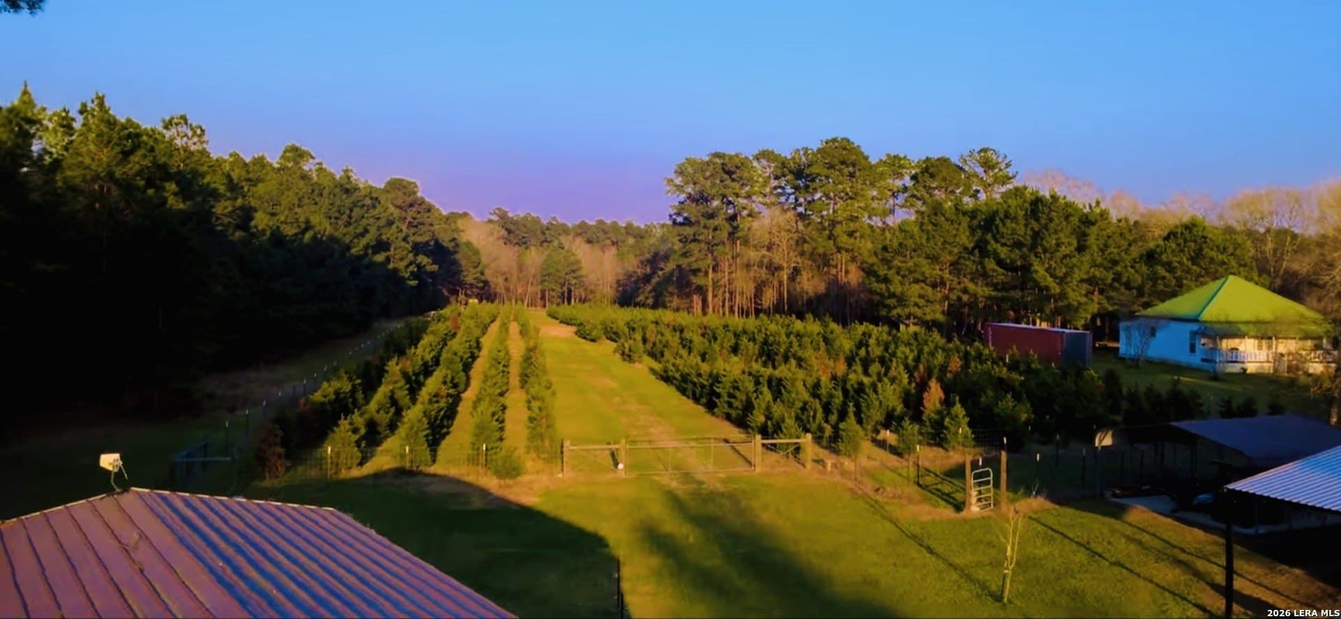 22.5 acres in Liberty County gallery image 4