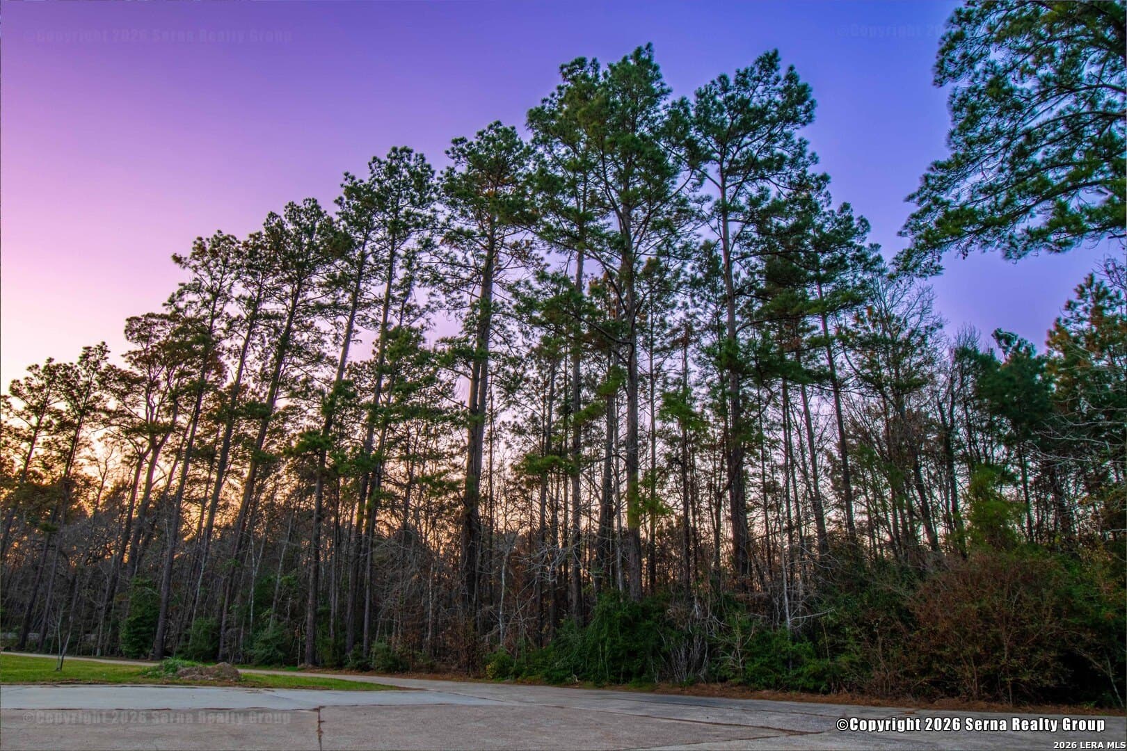 22.5 acres in Liberty County - photo 15
