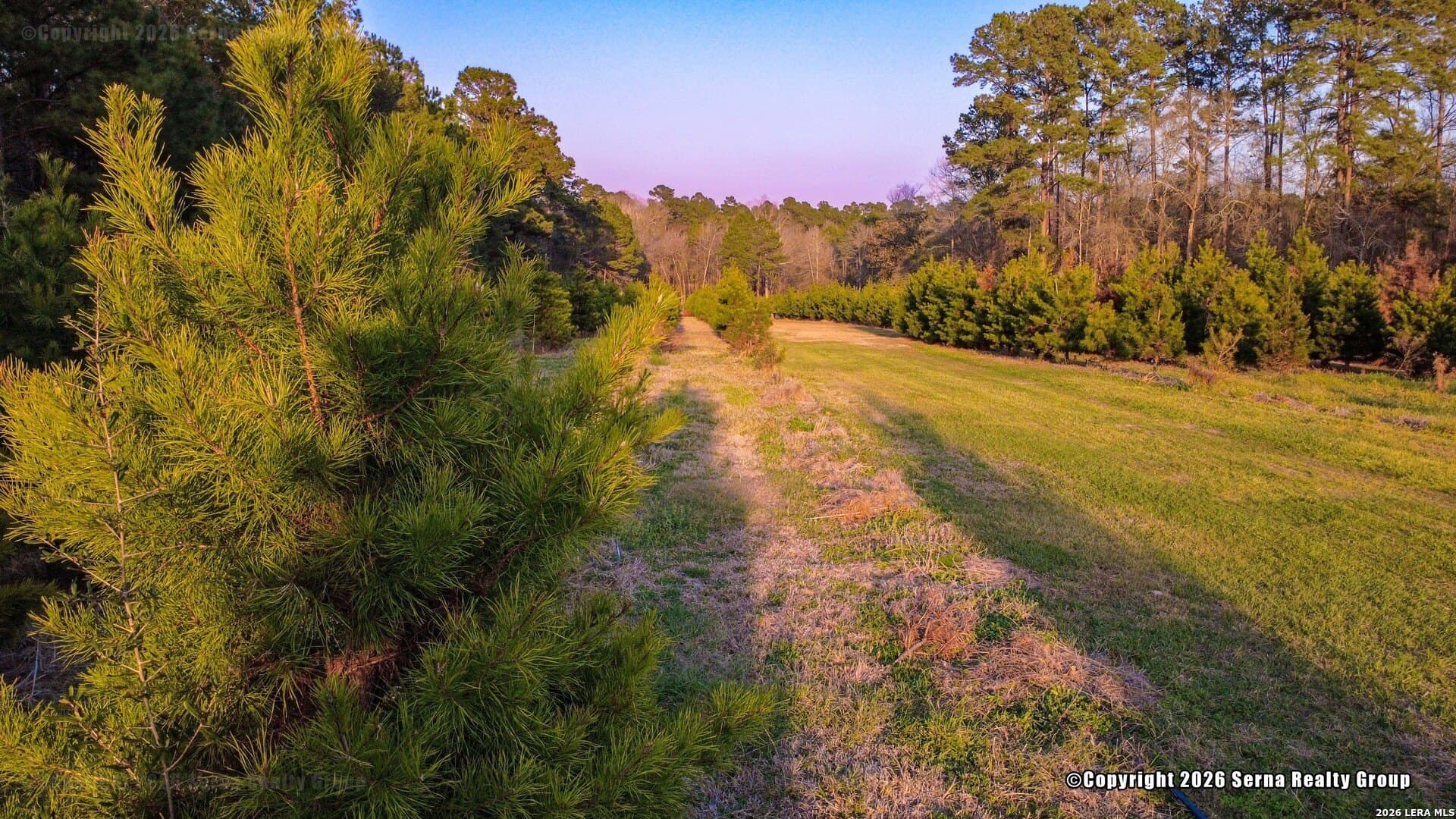 22.5 acres in Liberty County - photo 16
