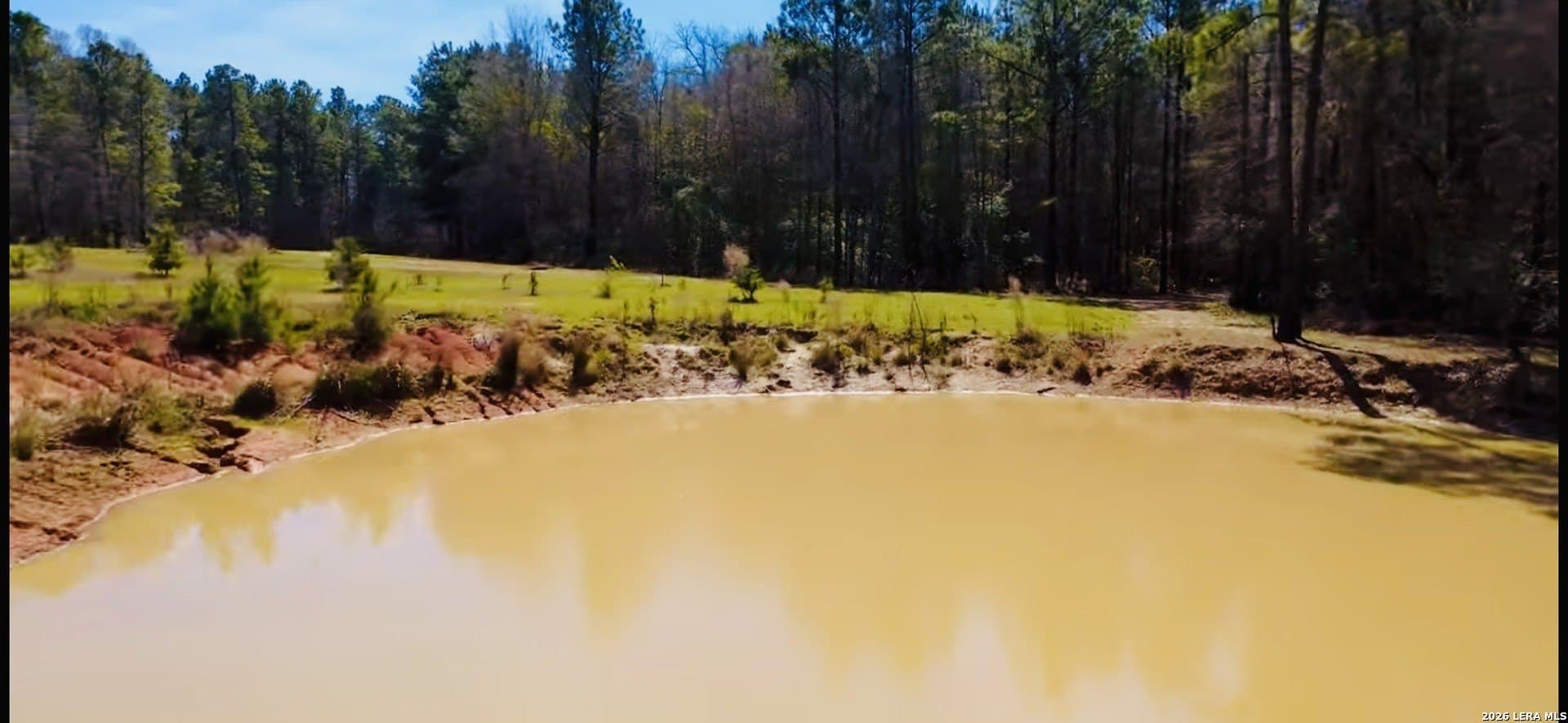 22.5 acres in Liberty County featured view