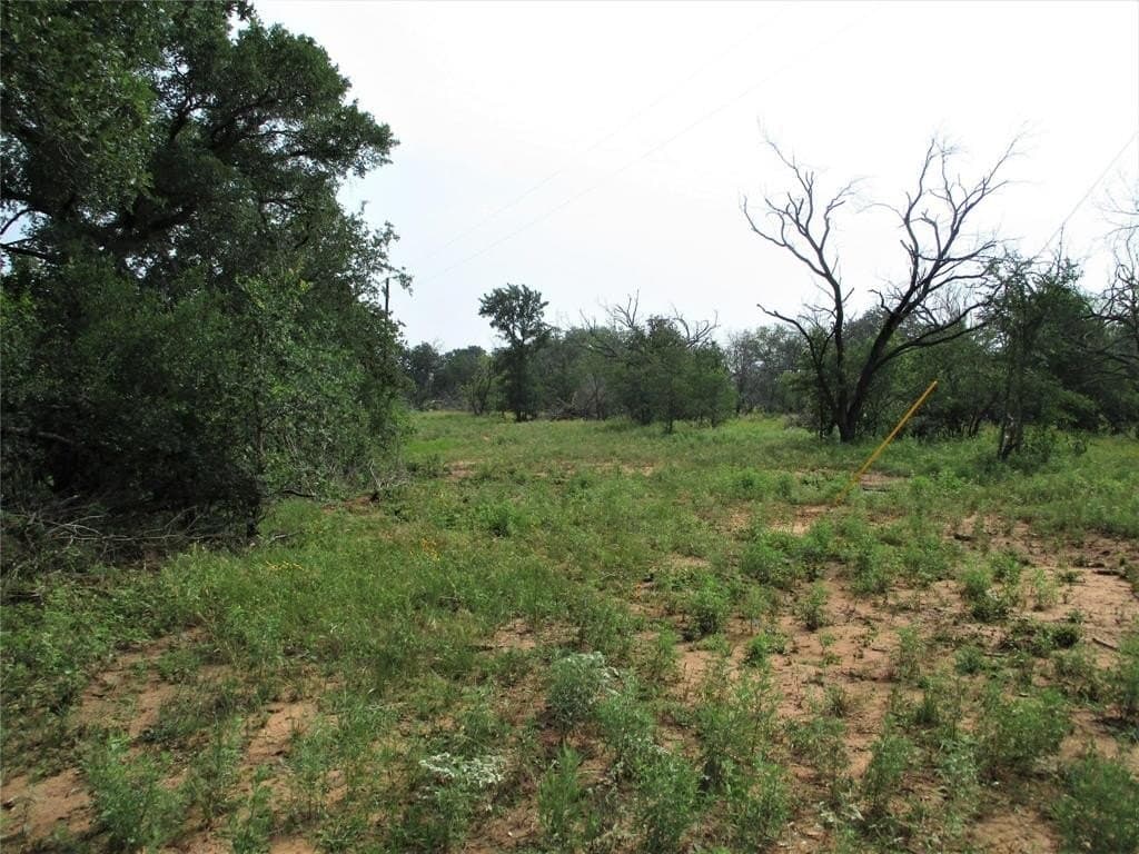 27 acres in Young County gallery image 3