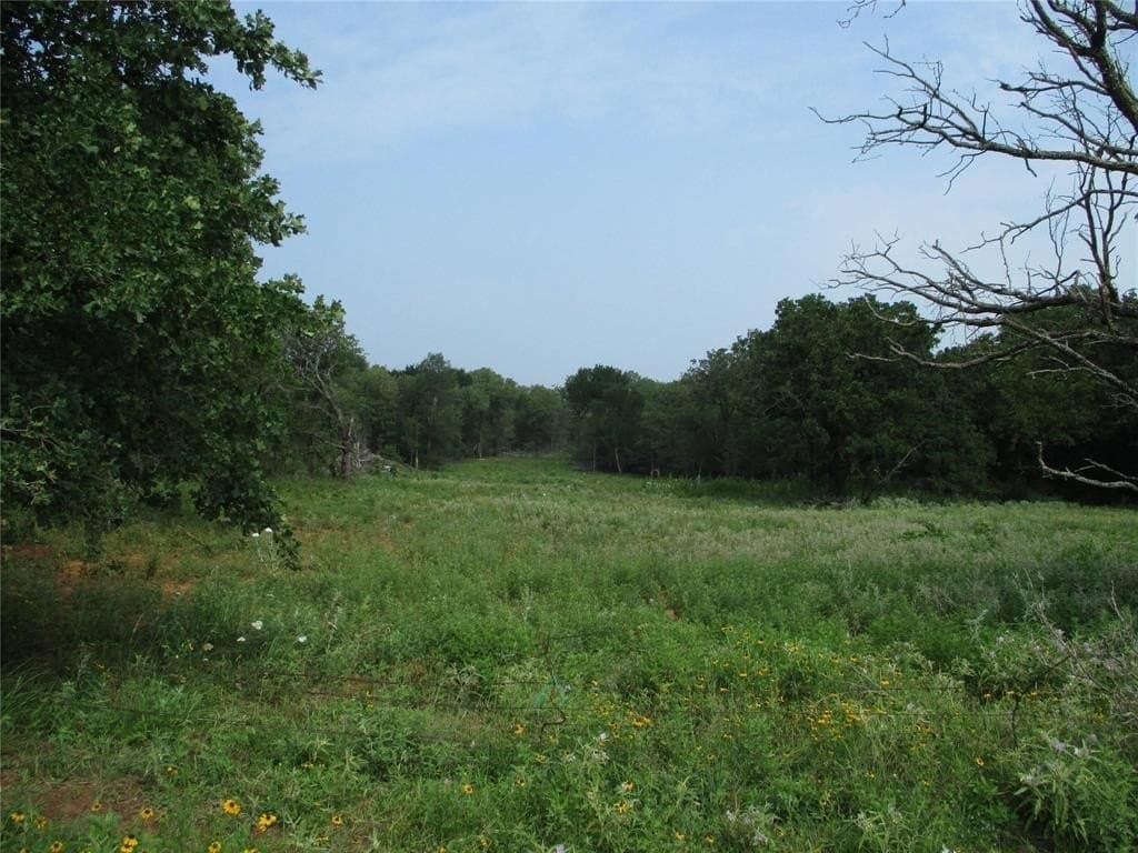 27 acres in Young County gallery image 4