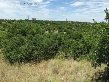 0.16 acres in Palo Pinto County - photo 5