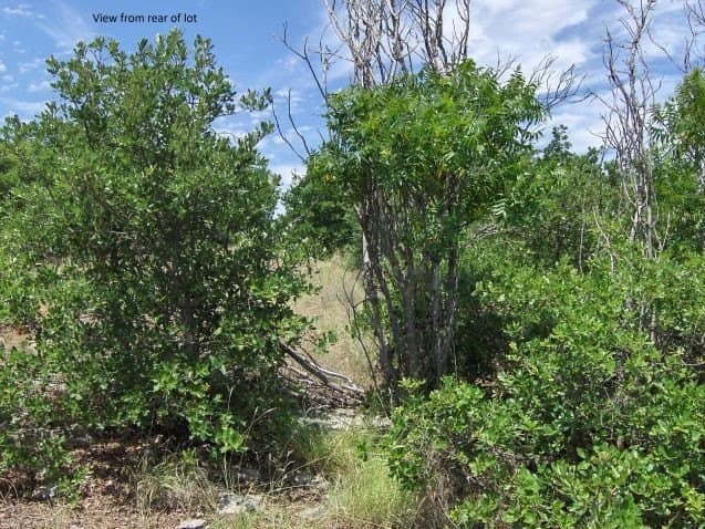 0.16 acres in Palo Pinto County - photo 4