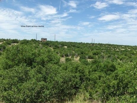 0.16 acres in Palo Pinto County - photo 6