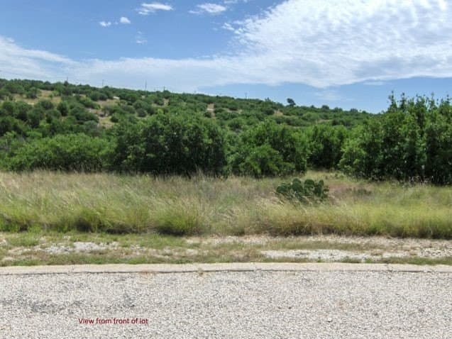 0.16 acres in Palo Pinto County - photo 2