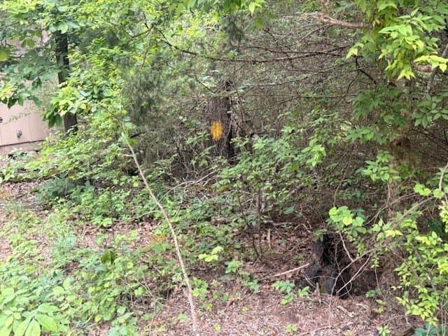 62.6 acres in Wood County - photo 13