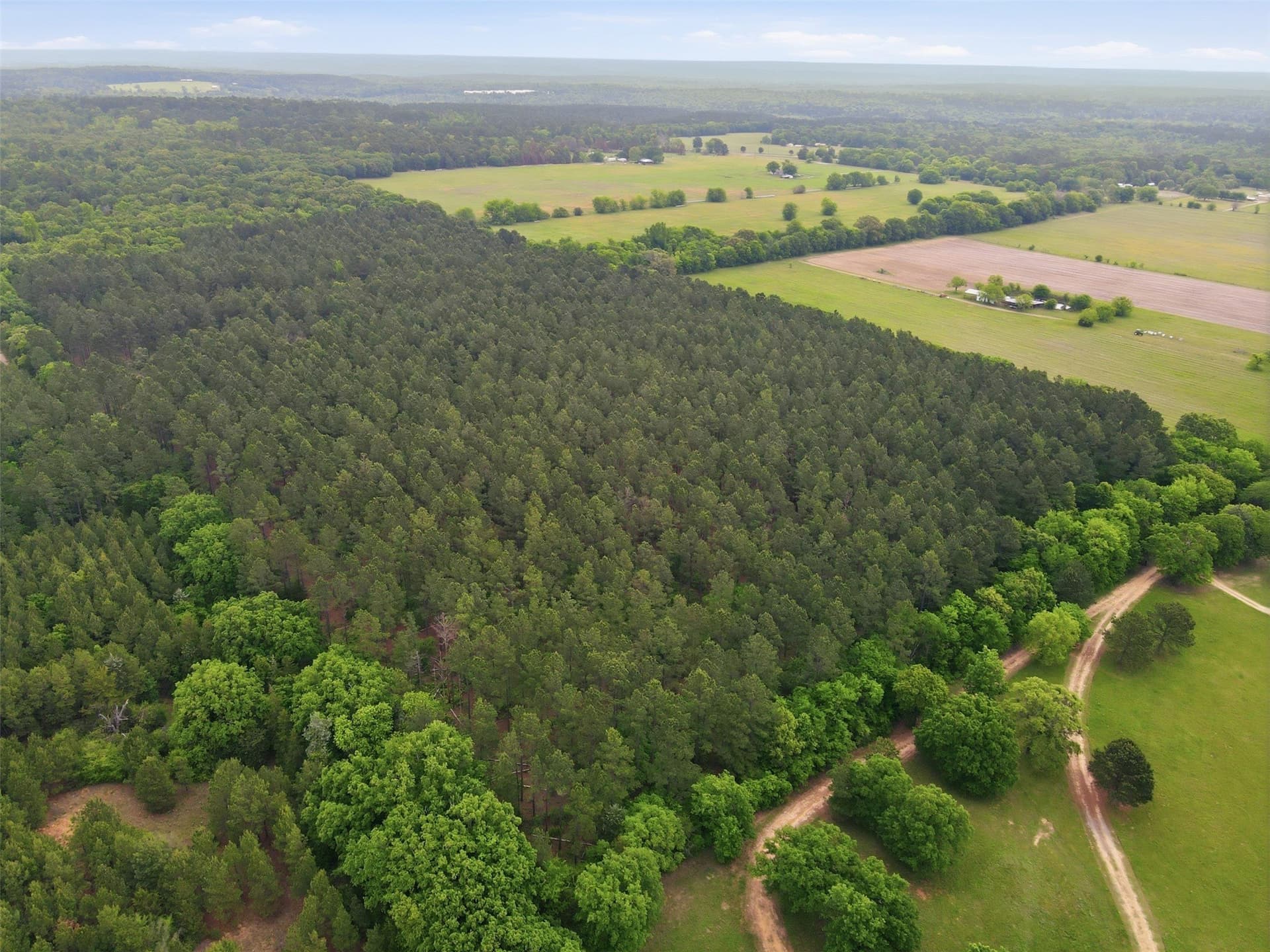62.6 acres in Wood County - photo 8