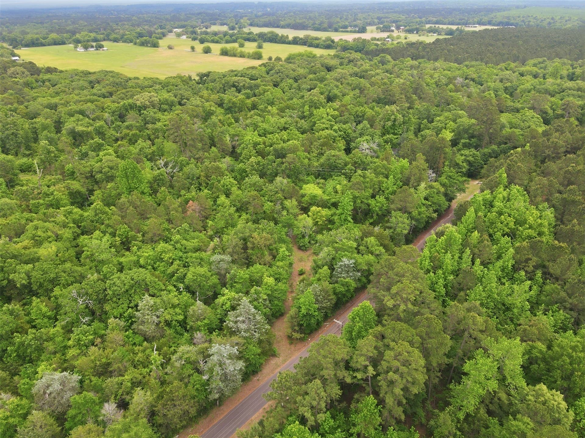 62.6 acres in Wood County - photo 3